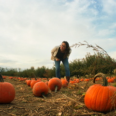 I hear Pumpkins